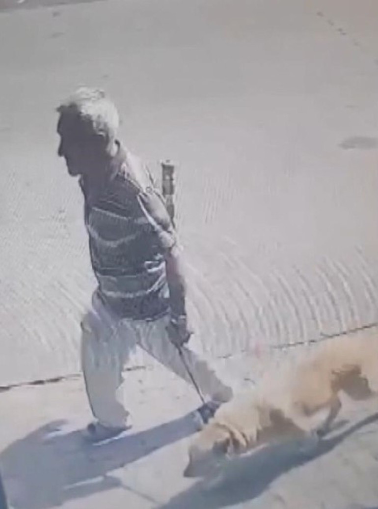 Bakırköydeki iğrenç olayda karar çıktı: Köpeğe istismarda bulunan sanığın cezası belli oldu