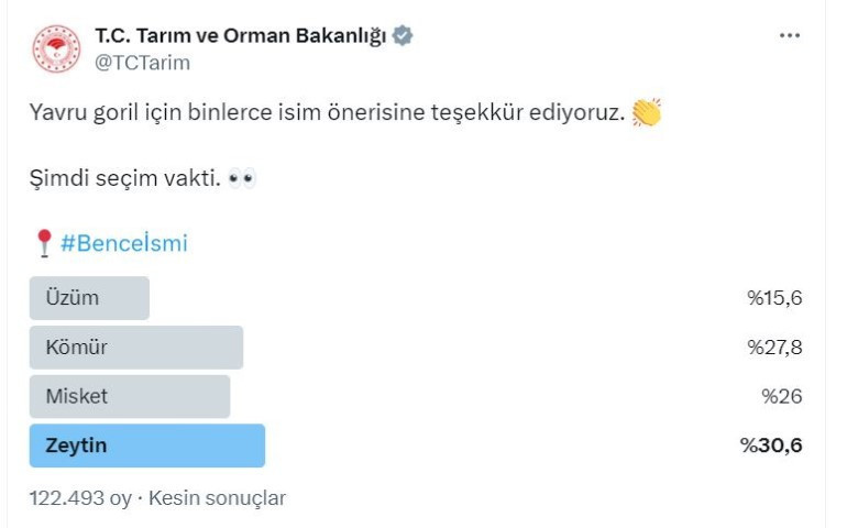 Bakanlık vatandaşlara sormuştu... Havalimanında bulunan yavru gorilin ismi belli oldu