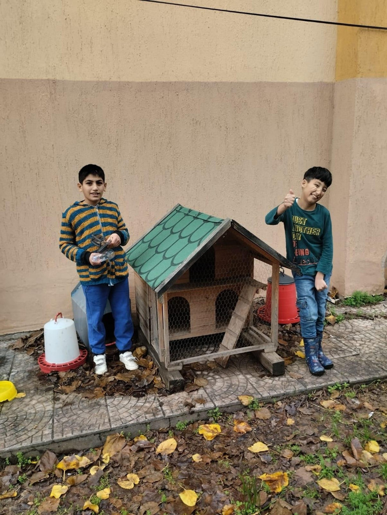 Okul bahçesinde kedi mahallesi