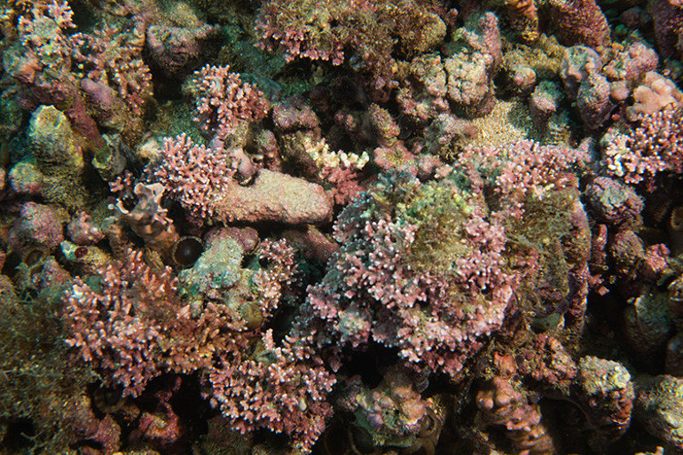 Keşfettikleri şeyin ne olduğuna dair en ufak bir fikirleri bile yoktu Sonuçlar bilim insanlarını da şoke etti: Kendimizi bambaşka bir evrende bulduk
