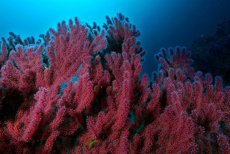 Keşfettikleri şeyin ne olduğuna dair en ufak bir fikirleri bile yoktu Sonuçlar bilim insanlarını da şoke etti: Kendimizi bambaşka bir evrende bulduk