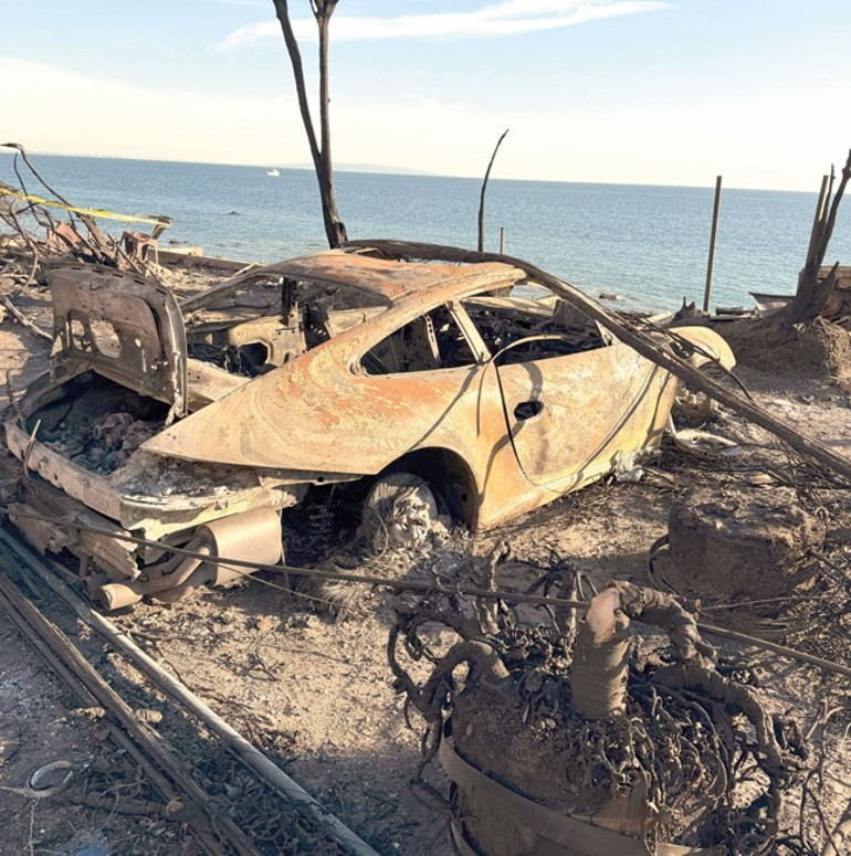 Hollywood dayanışması