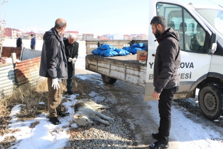 Sokak köpeklerinin saldırısında hayatını kaybetmişti... Tarım ve Orman Bakanı İbrahim Yumaklıdan Eslem Teker açıklaması