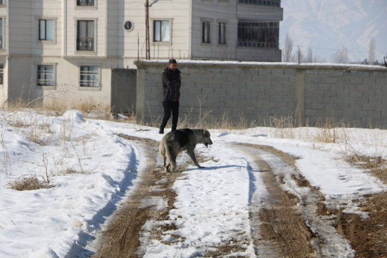 Sokak köpeklerinin saldırısında hayatını kaybetmişti... Tarım ve Orman Bakanı İbrahim Yumaklıdan Eslem Teker açıklaması