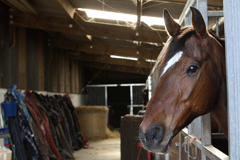 Sırrını açığa vurmak için tam 44 yıl bekledi Ölümün kıyısındaki arkadaşının bir sorusu her şeyi değiştirdi: Nalbantla sorun yaşadın mı hiç