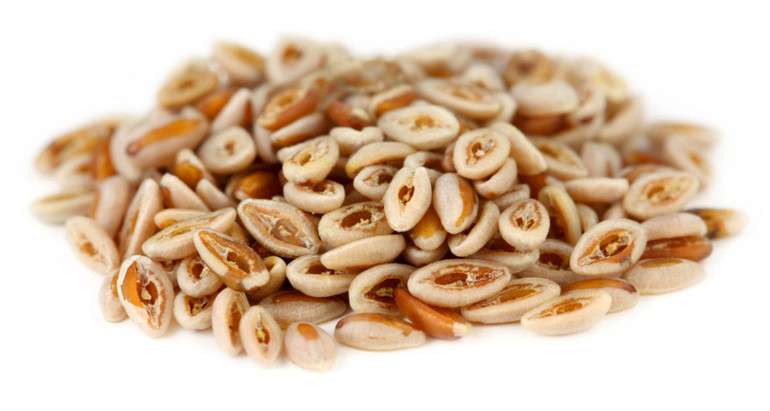 Kendi küçük etkisi büyük Karnıyarık otu yüzyıllardır geleneksel tıpta kullanılıyor, faydaları saymakla bitmiyor