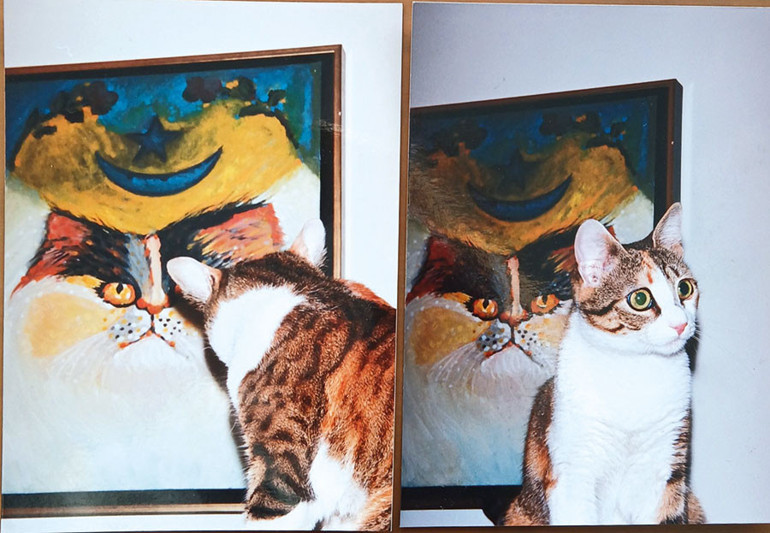 Kaygılı hallerinin sebebi bizmişiz