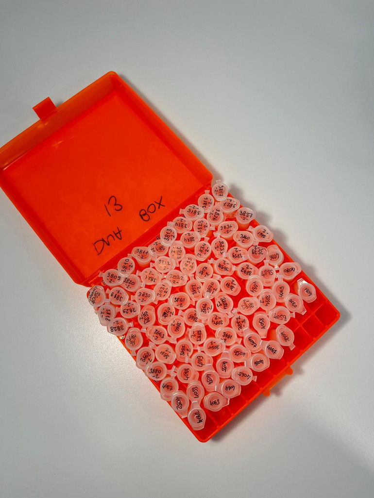 ‘Tüy bankası’ kapılarını Hürriyet Ankara’ya açtı... Tüylerden DNA barkodlaması