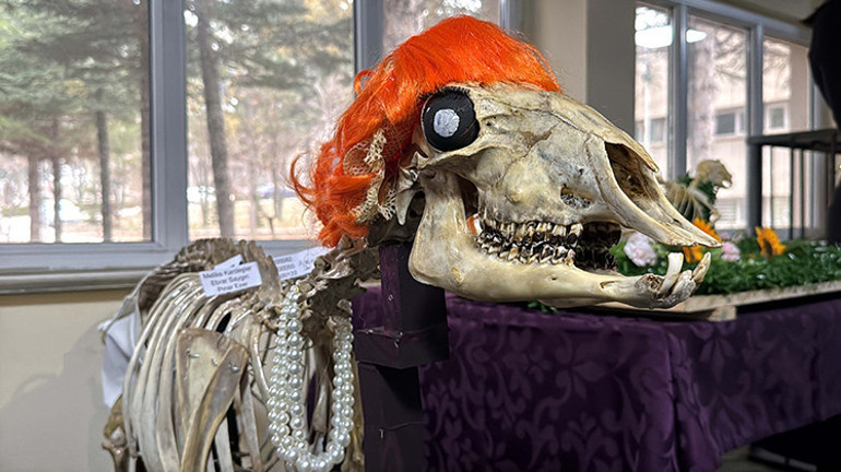 Ödevimiz tahnit ve iskelet