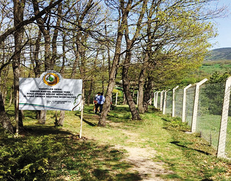 Ormancılardan çağrı: İşgal ettiği ormanı alın