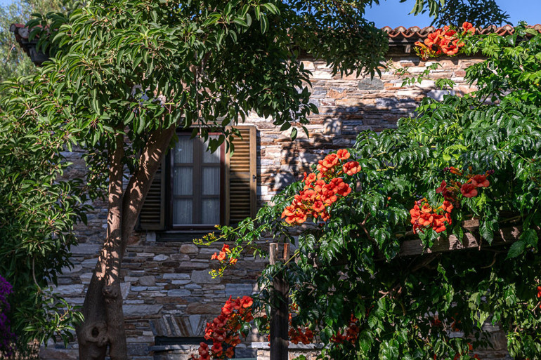 Pinokyonun peşinden gidip gördüğüm eski bir Rum yerleşimi: Tarihi Doğanbey Köyü