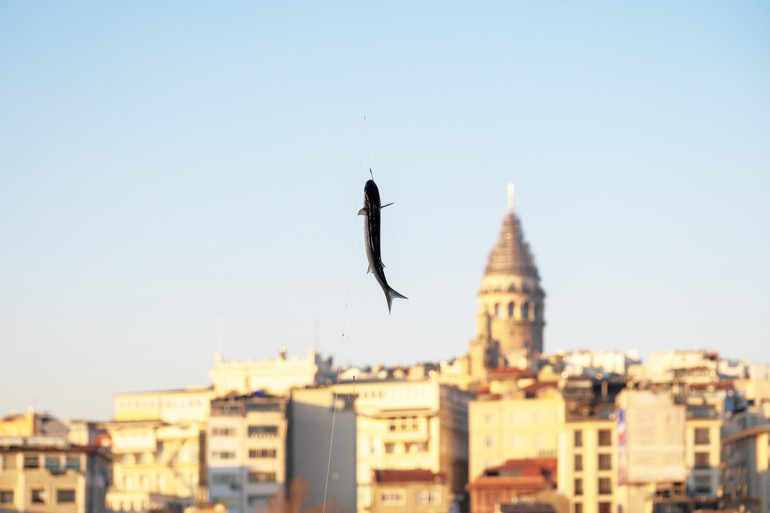 Gastronomi kazanında kaynayanlar