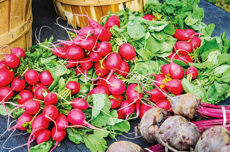 Gastronomi kazanında kaynayanlar