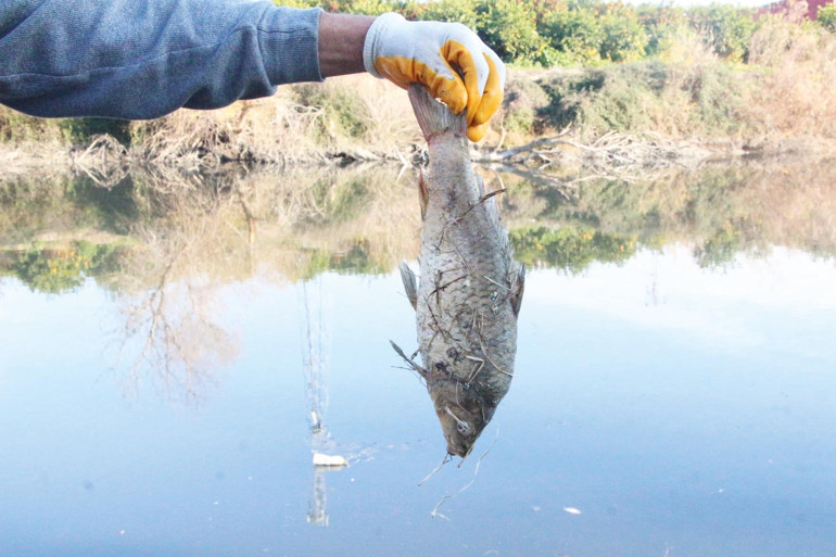 5 yıldır aynı can suyunu utanmazca kirletiyorlar