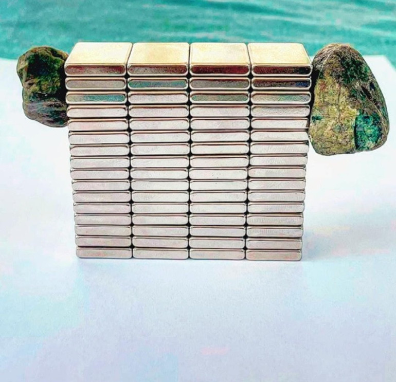 Öğrencilerin merakı gerçeği ortaya çıkardı: Kargaların getirdiği cisim hayrete düşürdü… ‘Sıra dışı bir durum, rögar kapakları etrafında daha çok bulunuyor’