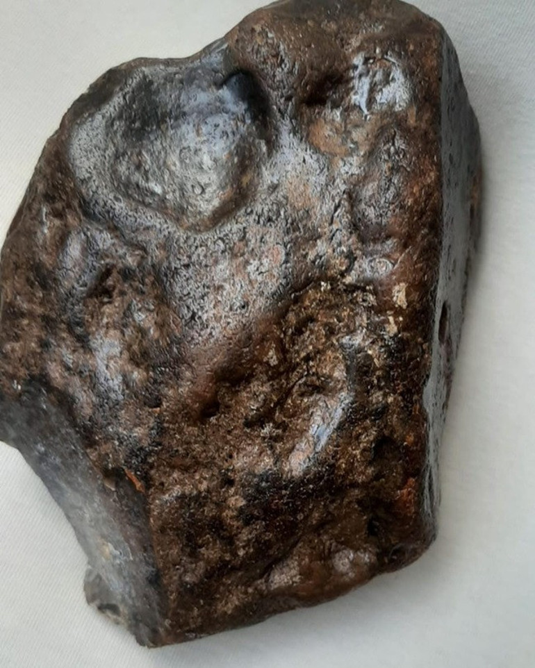 Öğrencilerin merakı gerçeği ortaya çıkardı: Kargaların getirdiği cisim hayrete düşürdü… ‘Sıra dışı bir durum, rögar kapakları etrafında daha çok bulunuyor’