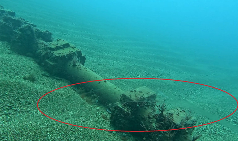 Antalya Körfezinde ilk kez görüntülendi: Sadece berrak suda görülebiliyor