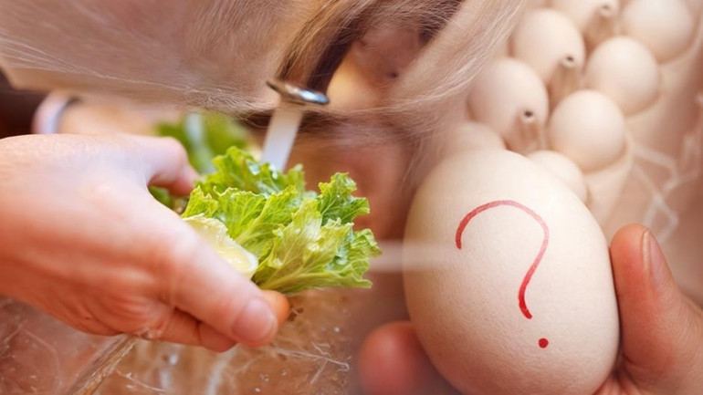 Salmonella tehlikesi her yerde