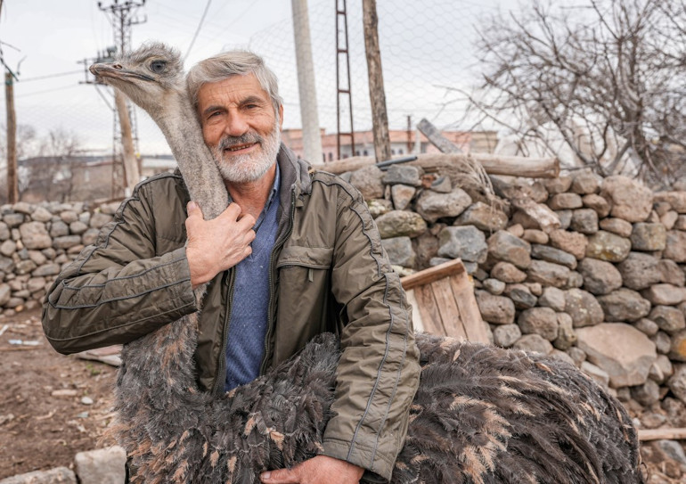 Hediye edildiği yerden kaçmıştı Deve kuşu 3 gün sonra büyüdüğü mahalleye döndü