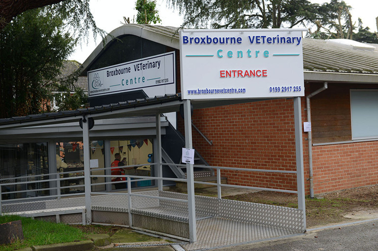 Londra’da Türk veteriner kliniği açıldı