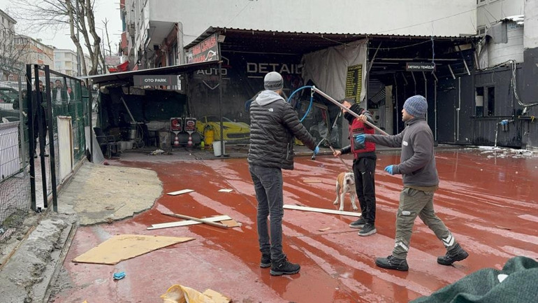 İstanbulda pitbull dehşeti: Sahibine ve onun arkadaşına saldırdılar... Et vererek ayırmaya çalıştılar