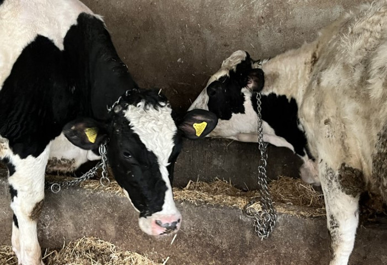 27 yaşındaki genç, devlet desteği ile başladı; üretimini aylık 45 tona çıkardı