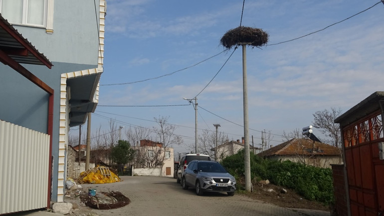 Biraz tedirginim 14 yıllık dostluk Yaren leyleğin yolunu gözlüyor: Gelmesine birkaç gün kaldı
