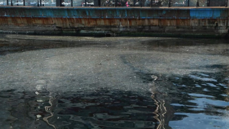 Kadıköyde endişelendiren görüntü Uzman isim uyardı: Manzara korkunç, bu mevsimde normal değil