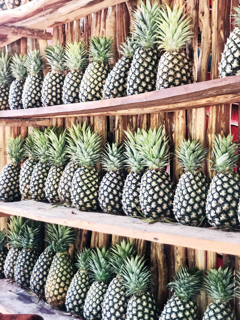 Meksika’nın bohem güzeli: Tulum