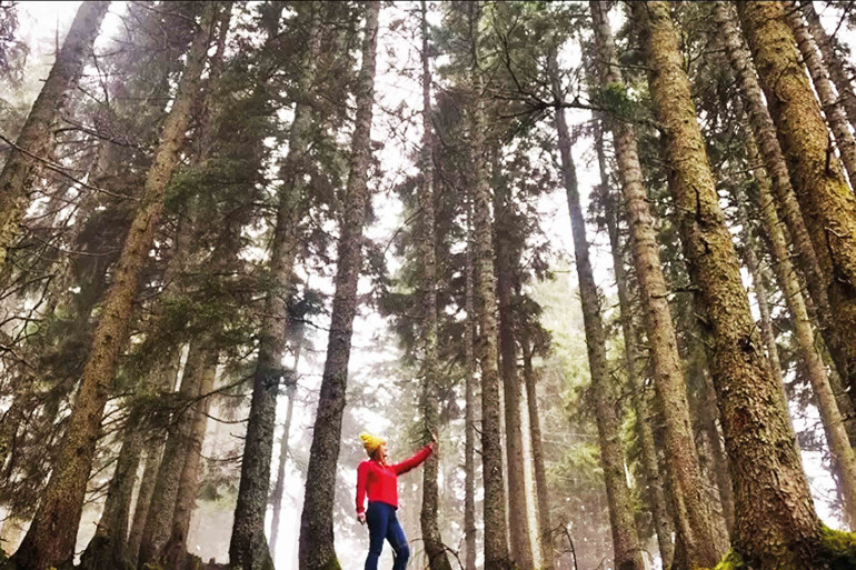 Yerle gök arasında bir yerde