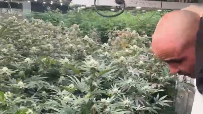 İstanbulda villaya baskın: Koku ihbarı gelince ekipler harekete geçti... Perdeler sürekli kapalıydı: Yatağında uyurken yakalandı