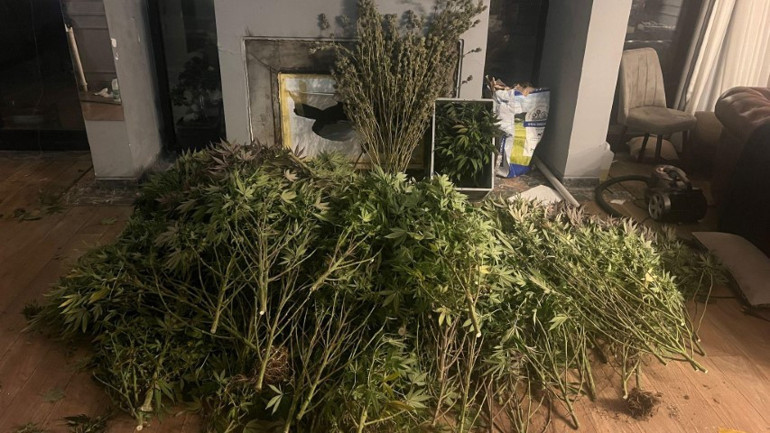 İstanbulda villaya baskın: Koku ihbarı gelince ekipler harekete geçti... Perdeler sürekli kapalıydı: Yatağında uyurken yakalandı