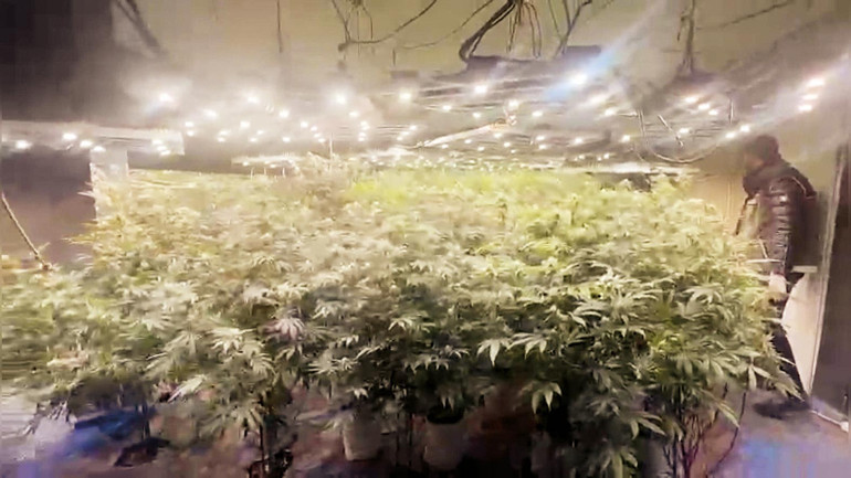 Villada zehir hasadı... Piyasa değeri 15 milyon TL