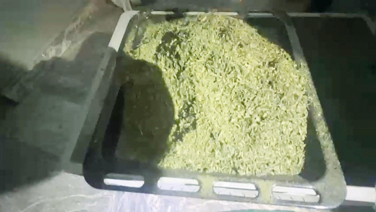 Villada zehir hasadı... Piyasa değeri 15 milyon TL