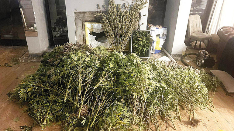 Villada zehir hasadı... Piyasa değeri 15 milyon TL