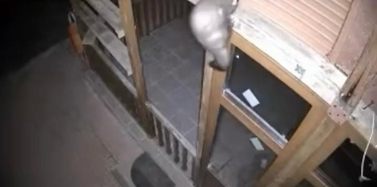 İzleyince şaşkına döndüler: Bağ evine girmeye çalışırken görüntülendiler