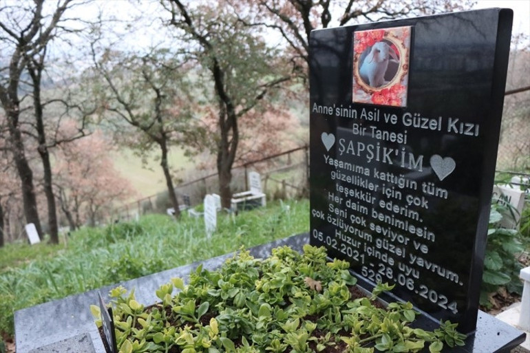 Bu mezarlık bildiklerinizden çok farklı... Taşlardaki yazı herkesi duygulandırıyor