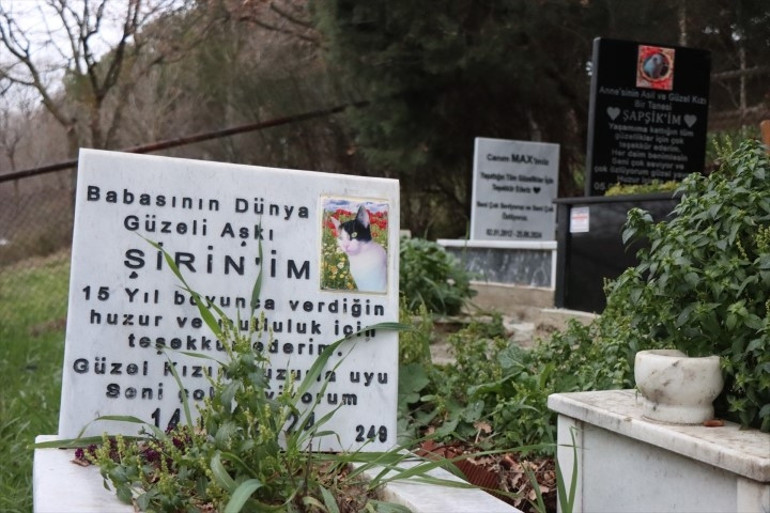 Bu mezarlık bildiklerinizden çok farklı... Taşlardaki yazı herkesi duygulandırıyor