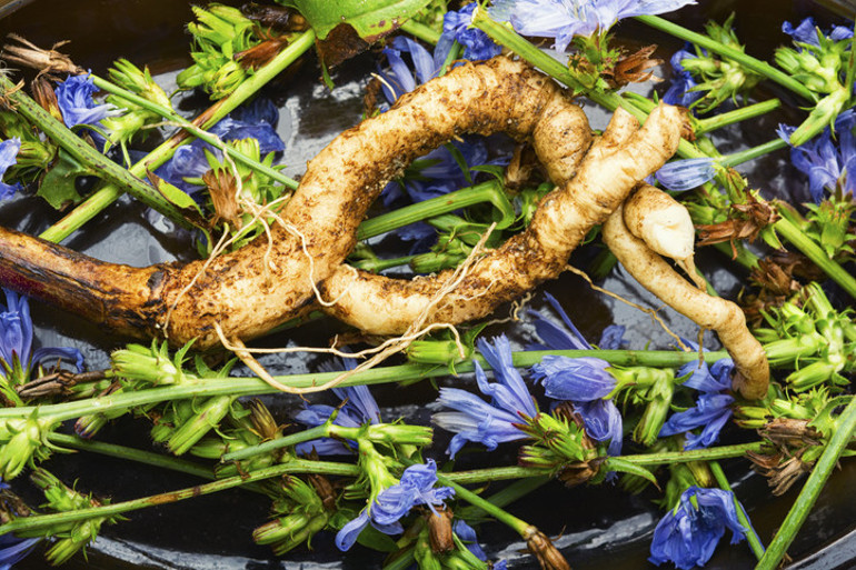 Vücudunuzun gizli şifacısı Bağırsaklardaki süper güç ‘bütirat’ bizi adeta bir kalkan gibi koruyor