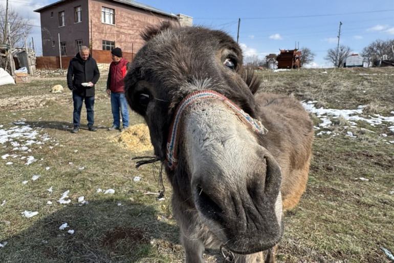Elazığlı vatandaşın hikayesi kalpleri ısıttı... Türkiyenin dört bir yanından destek telefonu alıyor
