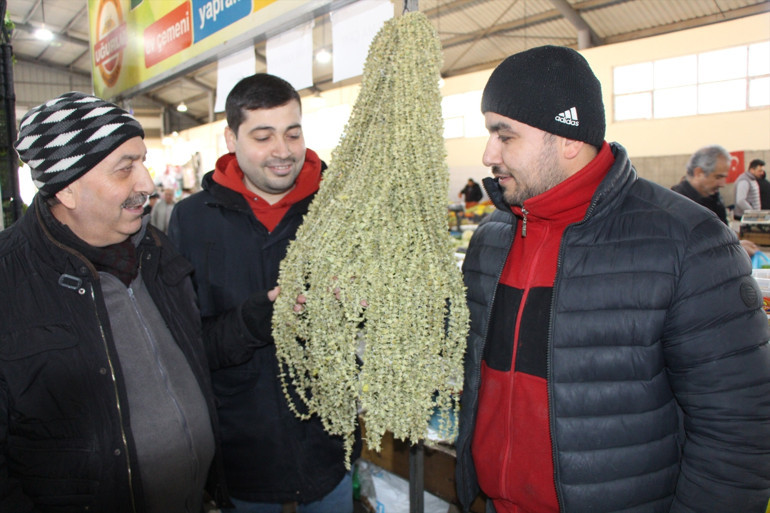 Fiyatı gram altını geçti Sarı Altının kilosu 3 bin 500 TLden satılıyor... Pazarın en pahalısı