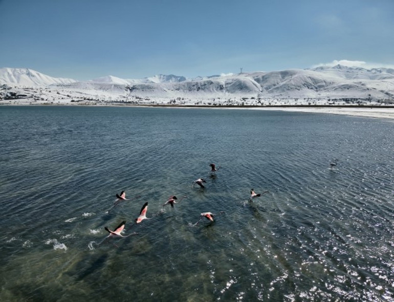 2.5 milyon lira cezası var Jandarma onları korumak için nöbette: Termal kameralar ve dronlarla takipteler