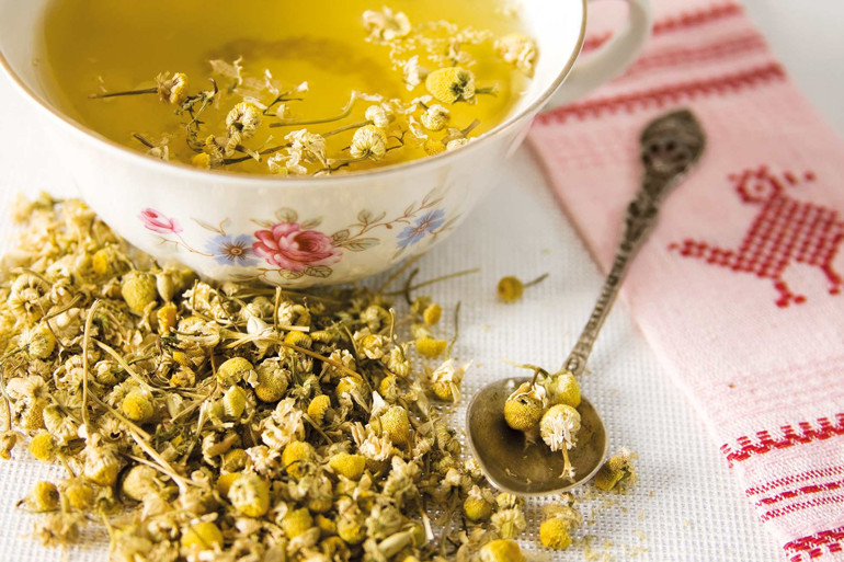 Gastronomi kazanında kaynayanlar