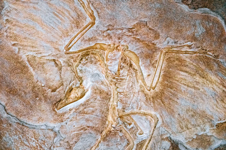 Yeni keşifler, büyük tehditler ve başlangıçlar