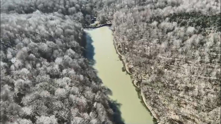 Ece Gürel’in son günlerini ve yaşadığı sorunları yakın arkadaşı anlattı… ‘Cadılık eğitimi’ verdiği iddia edilen hocasının ifadesi de ortaya çıktı