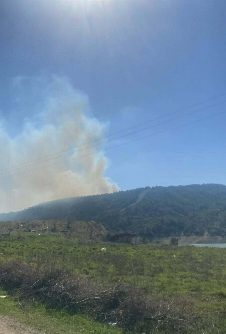 Çanakkale Geliboluda orman yangını