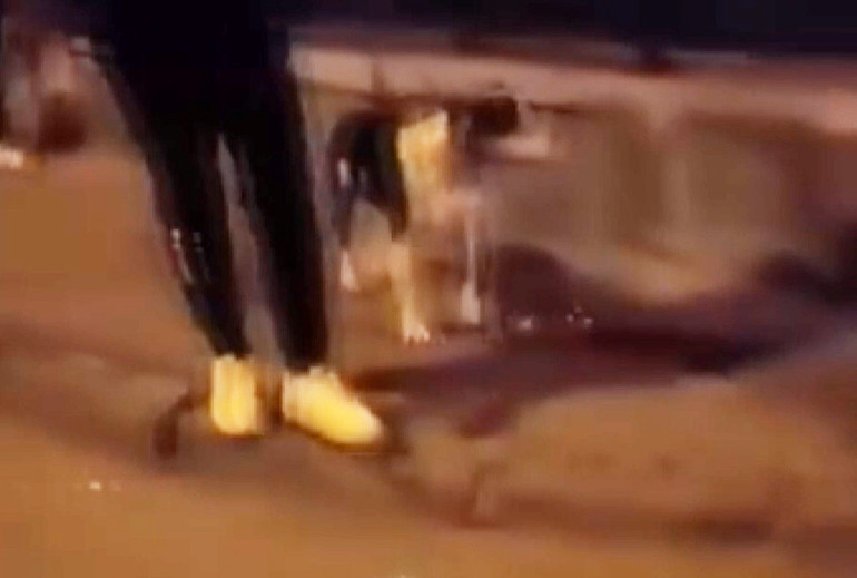 Kediye tekme atan kişi tutuklandı