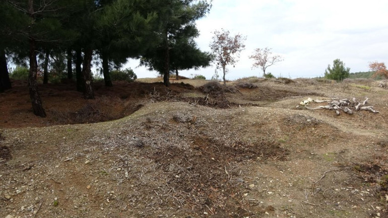 Çanakkale Savaşlarındaki çarpıcı emir: Aramızda böyleleri olduğunu hissediyorsanız kendi ellerimizle kurşuna dizelim