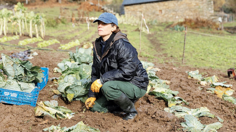 Yüzde 30’luk kararsızlar kitlesi nelere bakıyor nelere bakmıyor