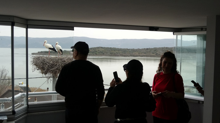 Yaren leylek için köye akın ettiler 14. kez gelişi büyük sevinç yaratmıştı